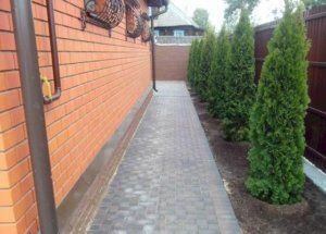 Отмостка из тротуарной плитки