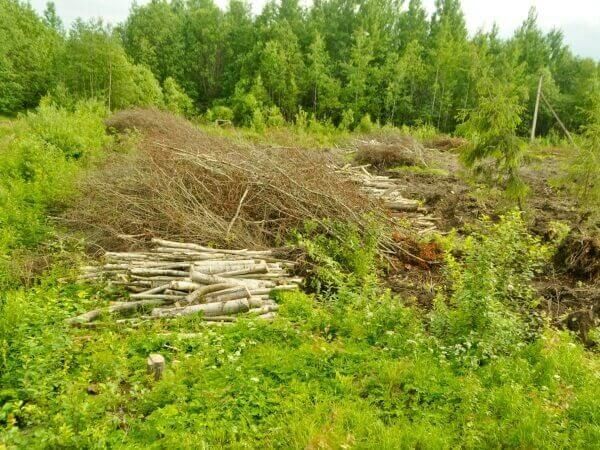 Благоустройства земельных участков