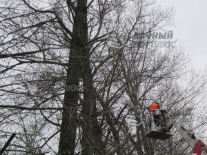 Спил веток деревьев, угрожающих ЛЭП