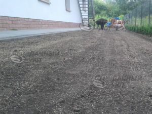 Посев семян