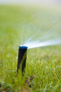 Выдвижной сплинкер