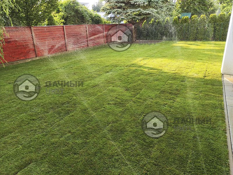 Автополив газона"Дачный Уют"